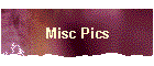 Misc Pics